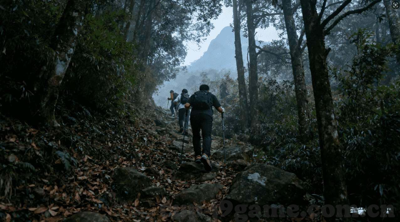 世界杯网上彩票买不了-世界杯网上彩票买不了，合法合规与体育精神的碰撞